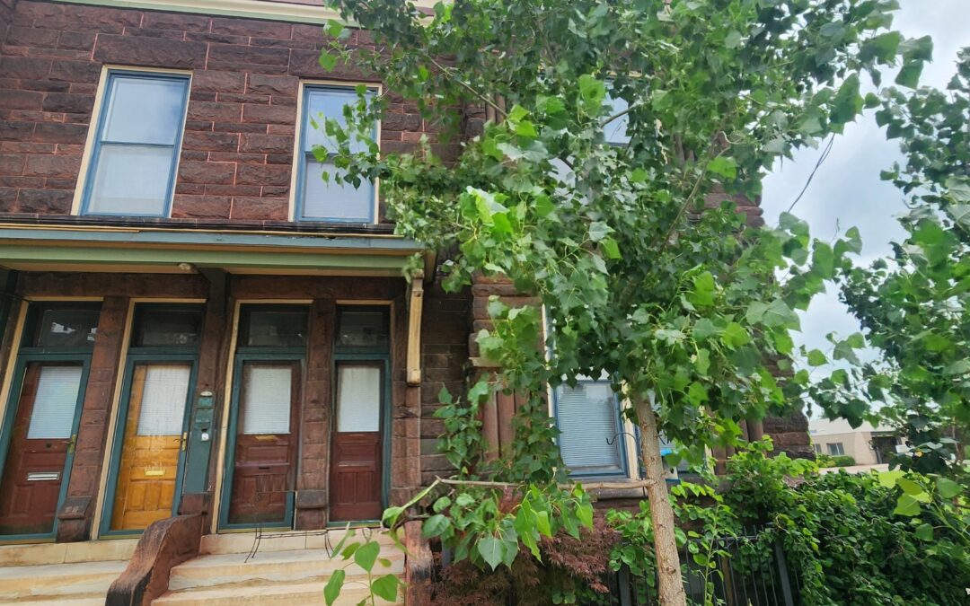 512 Market St. Apartment – Lower